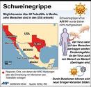 schweinegrippe2